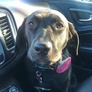 Meet your Posher, Julie